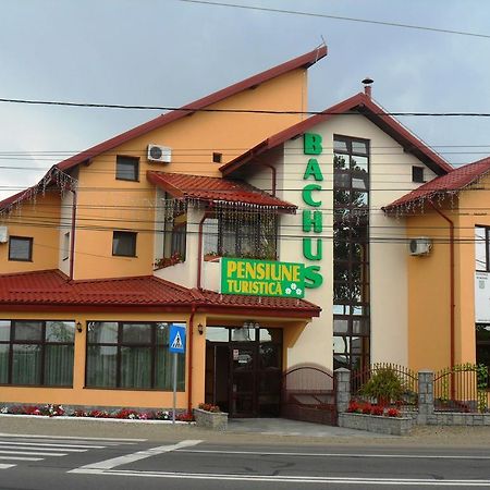 Pensiunea Bachus Piatra Neamţ Exterior foto