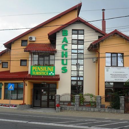 Pensiunea Bachus Piatra Neamţ Exterior foto