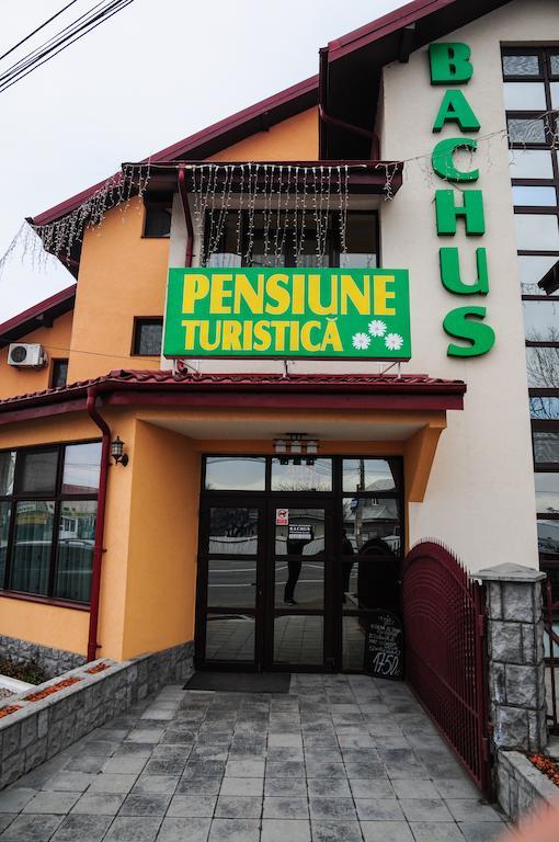 Pensiunea Bachus Piatra Neamţ Exterior foto