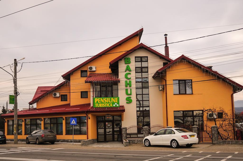Pensiunea Bachus Piatra Neamţ Exterior foto