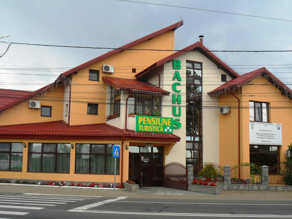 Pensiunea Bachus Piatra Neamţ Exterior foto