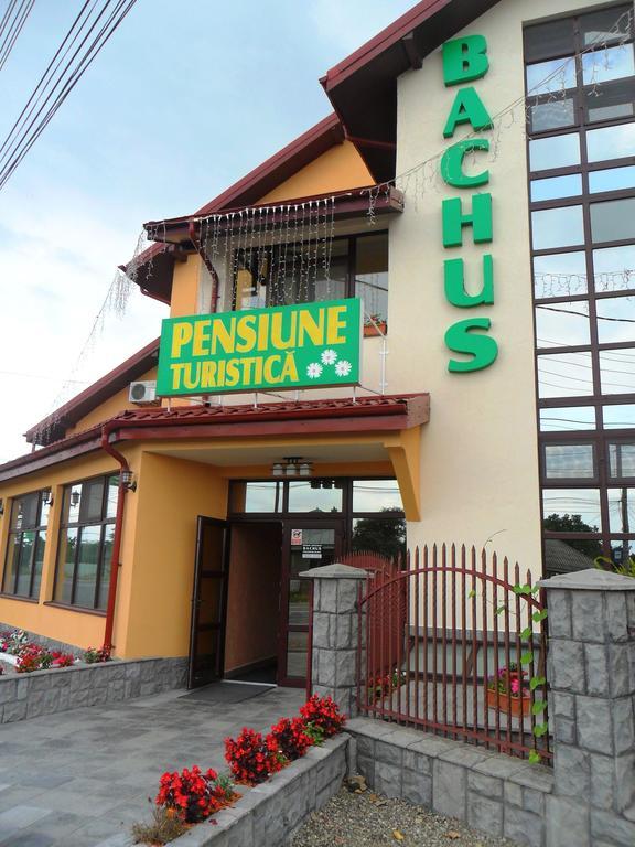Pensiunea Bachus Piatra Neamţ Exterior foto