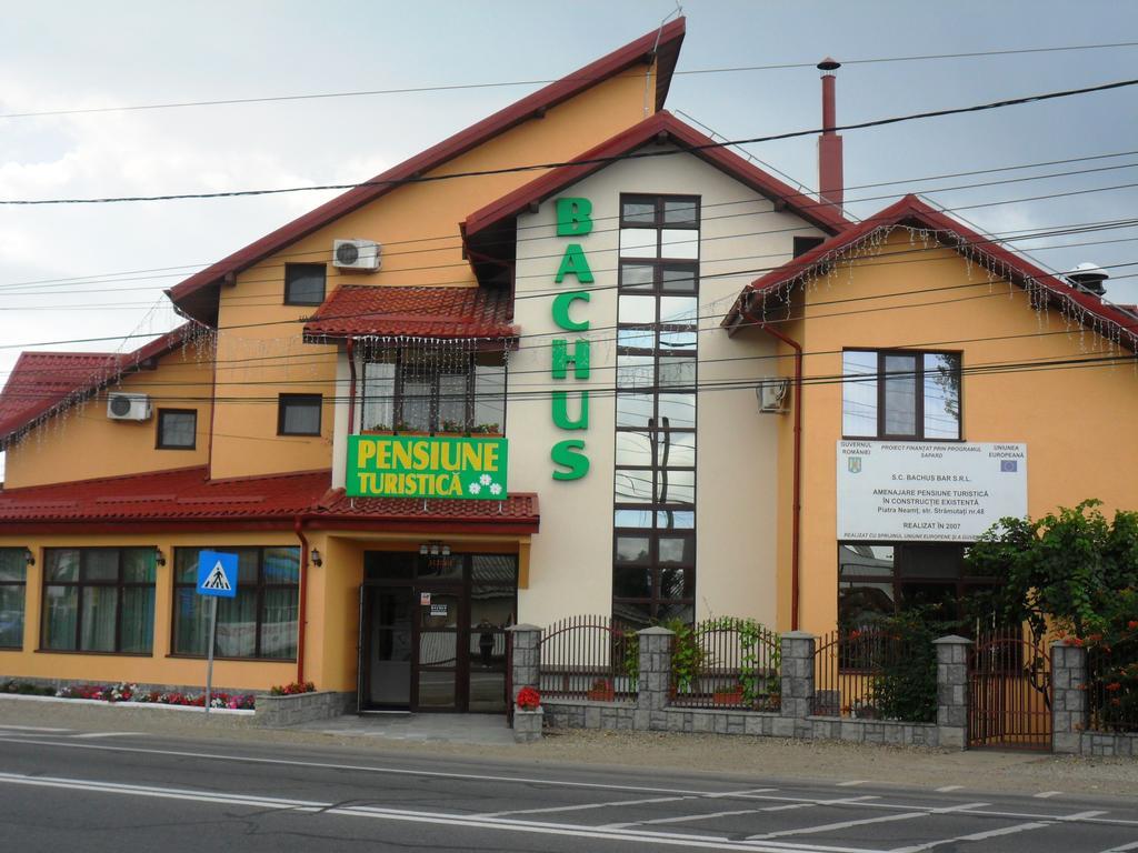 Pensiunea Bachus Piatra Neamţ Exterior foto